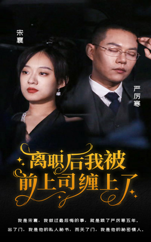 离职后，我被前上司缠上了（100集）爱上了这部剧了
