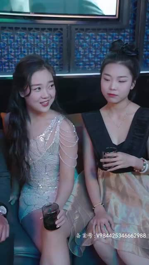 赘婿天子（91集）短剧介绍