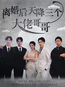 离婚后天降三个大佬哥哥（83集）熬夜追短剧