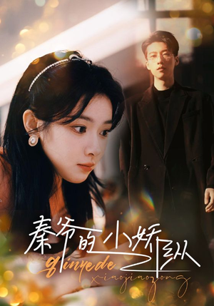 秦爷的小娇纵（96集）解说
