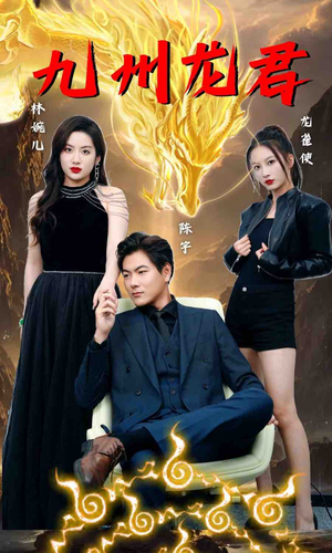 九州龙君（46集）直接追到结尾
