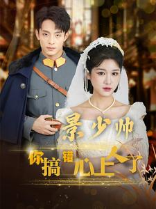 景少帅你搞错心上人了（100集）深深爱上这部剧