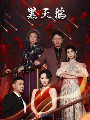 黑天鹅（51集）最近很火的短剧