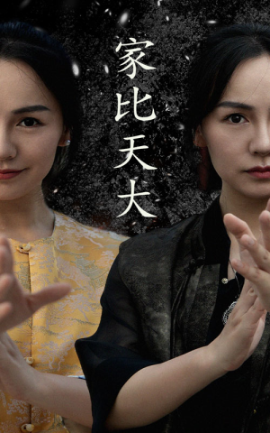家比天大（63集）爆火短剧抢先看