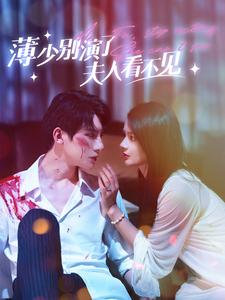 薄少别演了夫人看不见（86集）热门短剧推广