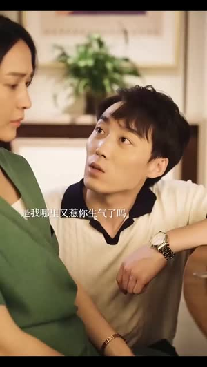 冲破婚姻的风暴（29集）火爆短剧推荐