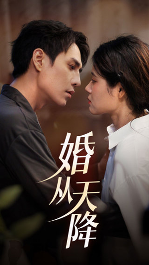 婚从天降（92集）免费短剧看全集
