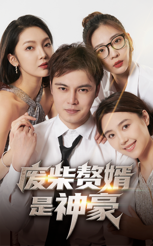 废柴赘婿是神豪（84集）海量资源免费看
