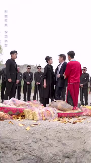 大嫂归来（69集）百度网盘资源