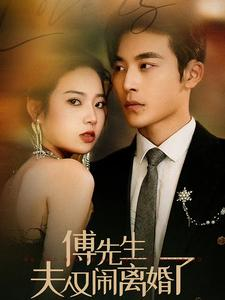 傅先生夫人又闹离婚了（80集）在哪里可以看