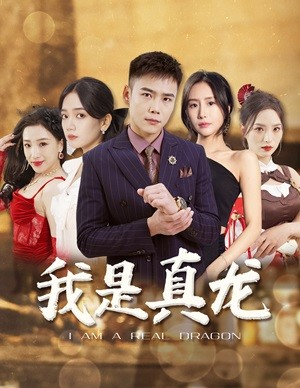 我是真龙$身份曝光后，丈母娘悔疯了（79集）免费短剧大全