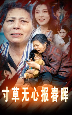 寸草无心报春晖&孝子慈孙（31集）不用花钱看全剧