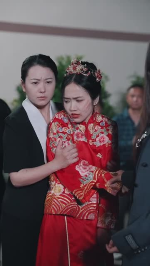 爱随天意（59集）每日短剧推荐