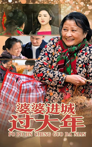 婆婆进城过大年（33集）直接看到大结局