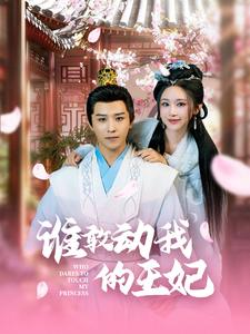 谁敢动我的王妃（62集）最火短剧热播