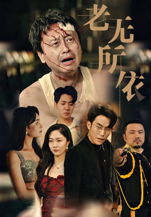 老无所依（57集）热门短剧排行榜