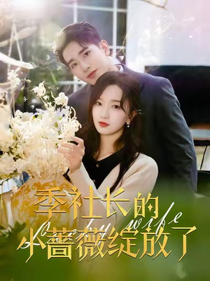 季社长的小蔷薇绽放了（60集）精彩短剧随心推