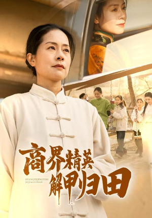 商界精英解甲归田（31集）网盘在线观看