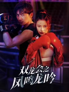 双龙会之凤鸣龙吟（80集）精彩短剧随心推