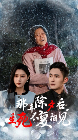 那年除夕后生死不复相见（48集）推荐热门短剧