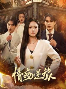 情殇逆旅（90集）更新时间