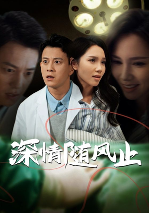 深情随风止（54集）短剧精彩绝伦