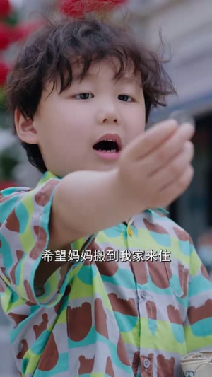 南书知我意（80集）直接看到大结局
