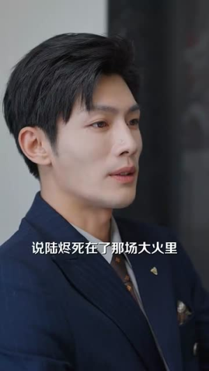 玫瑰陷入火焰里（100集）免费在线看全集