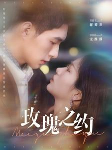 玫瑰之约（95集）看到了大结局