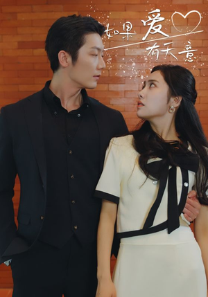 如果爱有天意（80集）全网短剧抢先看