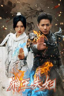 神王夫妇（167集）免费在线看