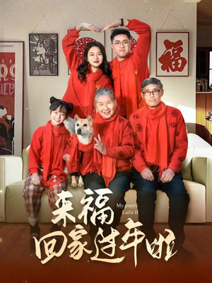 来福回家过年啦（34集）在线免费观影