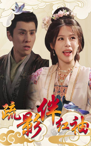 疏影伴红袖（40集）全集完整版