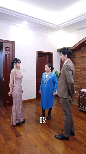 伪装夫妇（71集）一共多少集