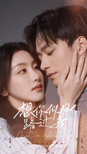 想你似风路过我（40集）免费短剧完整版
