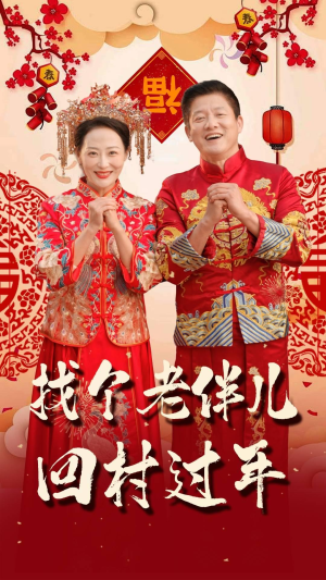 找个老伴儿回村过年（58集）热播短剧分享