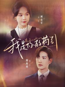 我是你的药引（100集）免费版
