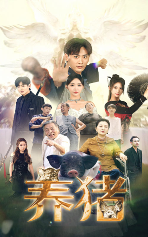 养猪（74集）看到了大结局