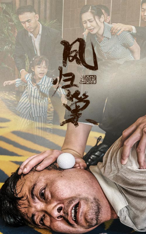 新版：凤归巢（68集）爆款短剧追不停