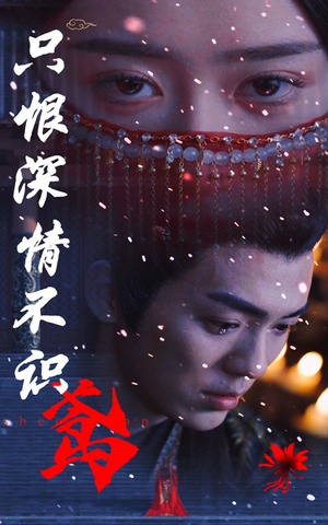 只恨深情不识鸢（83集）热播短剧全集看