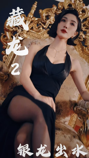 藏龙2银龙出水（35集）精彩短剧随心推