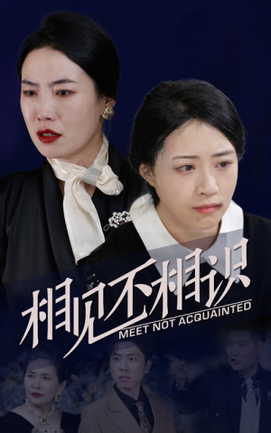 相见不相识（34集）全集免费观看