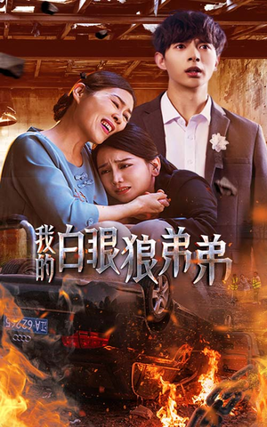 我的白眼狼弟弟（69集）一起看短剧