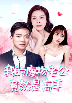 我的废物老公竟然是高手（100集）短剧介绍