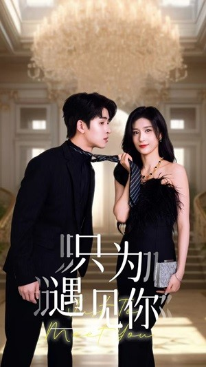 只为遇见你（88集）小短剧抢先看