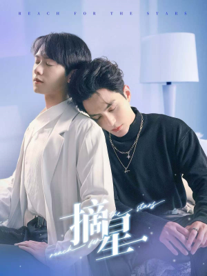摘星（81集）短剧小说在线看