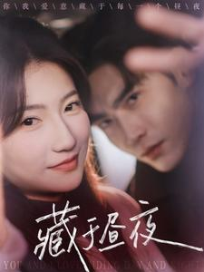 藏于昼夜（68集）最火的短剧