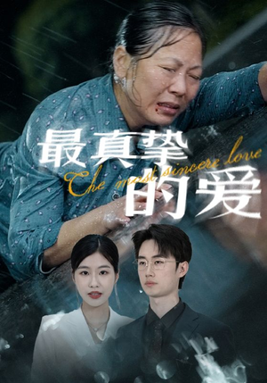 最真挚的爱（76集）无需会员轻松看