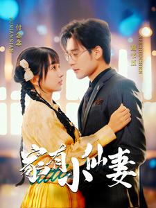 家有小仙妻（101集）热门短剧推广