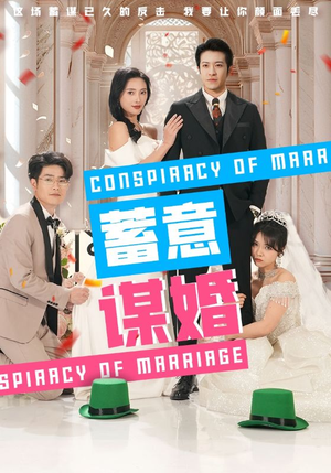 蓄意谋婚（30集）热门短剧大全